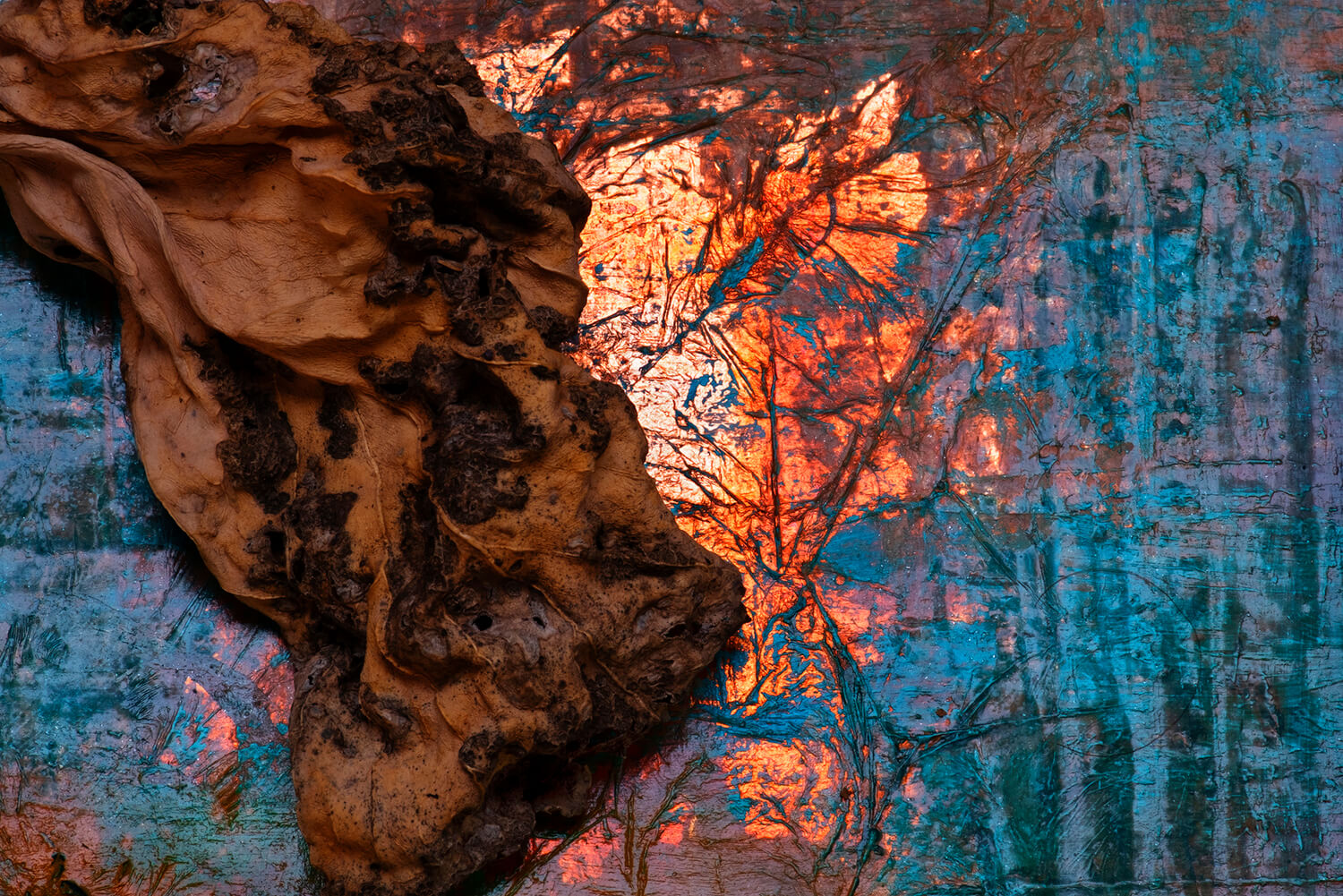 From getting by to thriving with a chronic&nbsp;illness